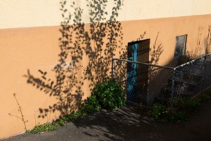 From the Series «Strolling (Lucerne)» 2019