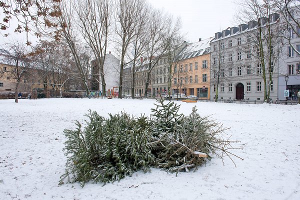 «Schnee & Weihnachtsbaum / Fröhliches Neues Jahr»
