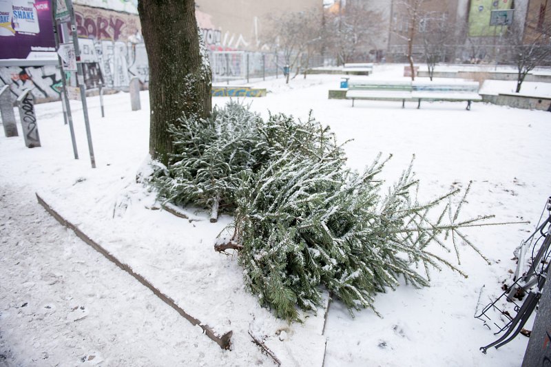 Schnee & Weihnachtsbaum / Fröhliches Neues Jahr» von Silas Kreienbühl