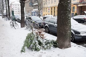 From the series «Snow & christmastree / Happy new year» 2017