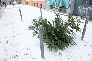 From the series «Snow & christmastree / Happy new year» 2017