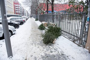 From the series «Snow & christmastree / Happy new year» 2017