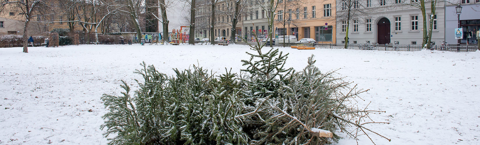 Slider «Schnee & Weihnachtsbaum / Fröhliches Neues Jahr»